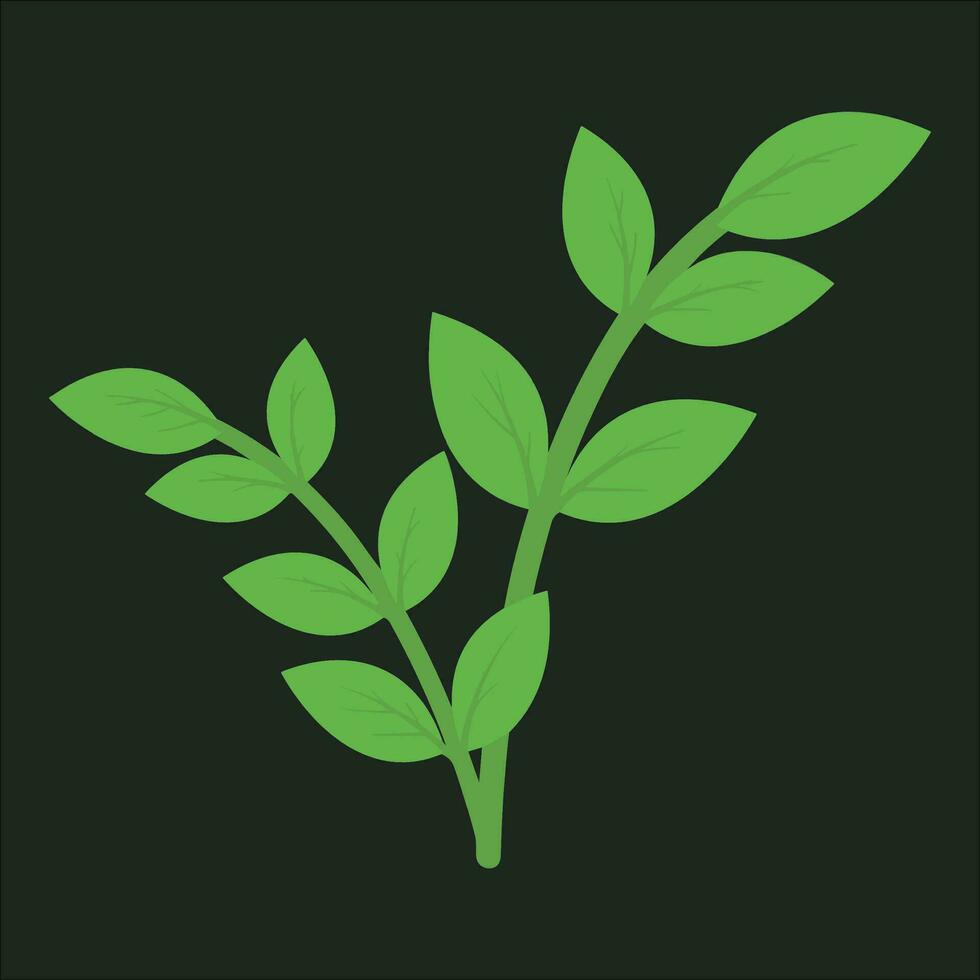 Leaf vector Design