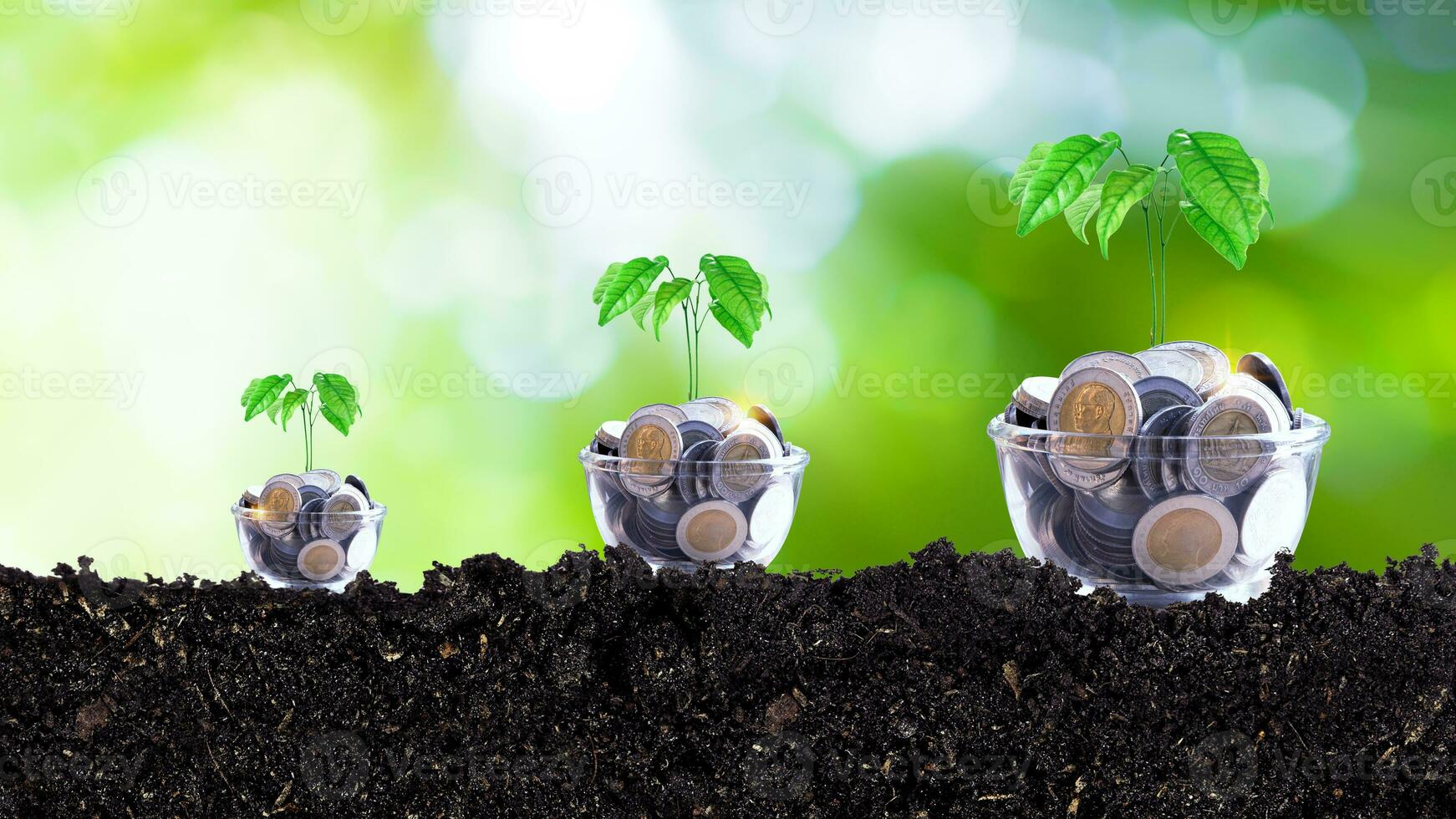 Coins in glass jar with plant on top putting on soil with sunlight bokeh green background. Financial investment ideas for future growth profits, trees growing on coins photo