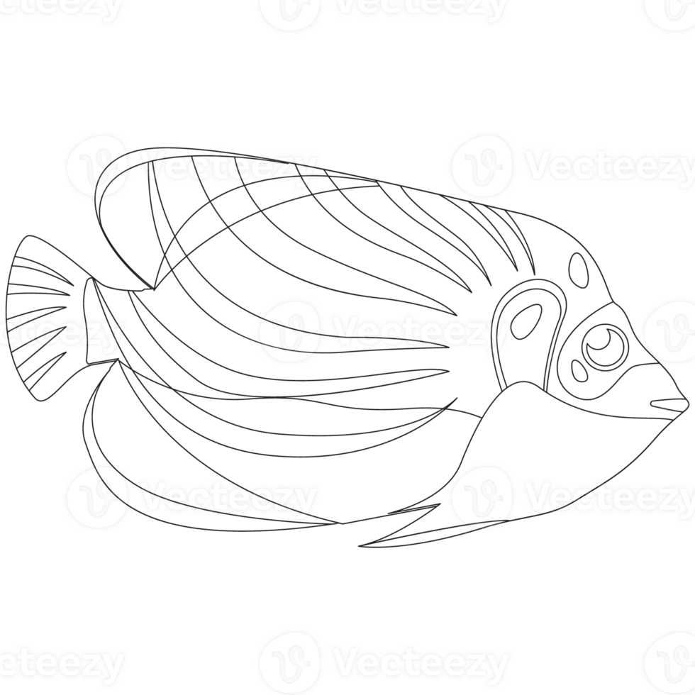 Three Color Fish 2D Outline Illustrations png