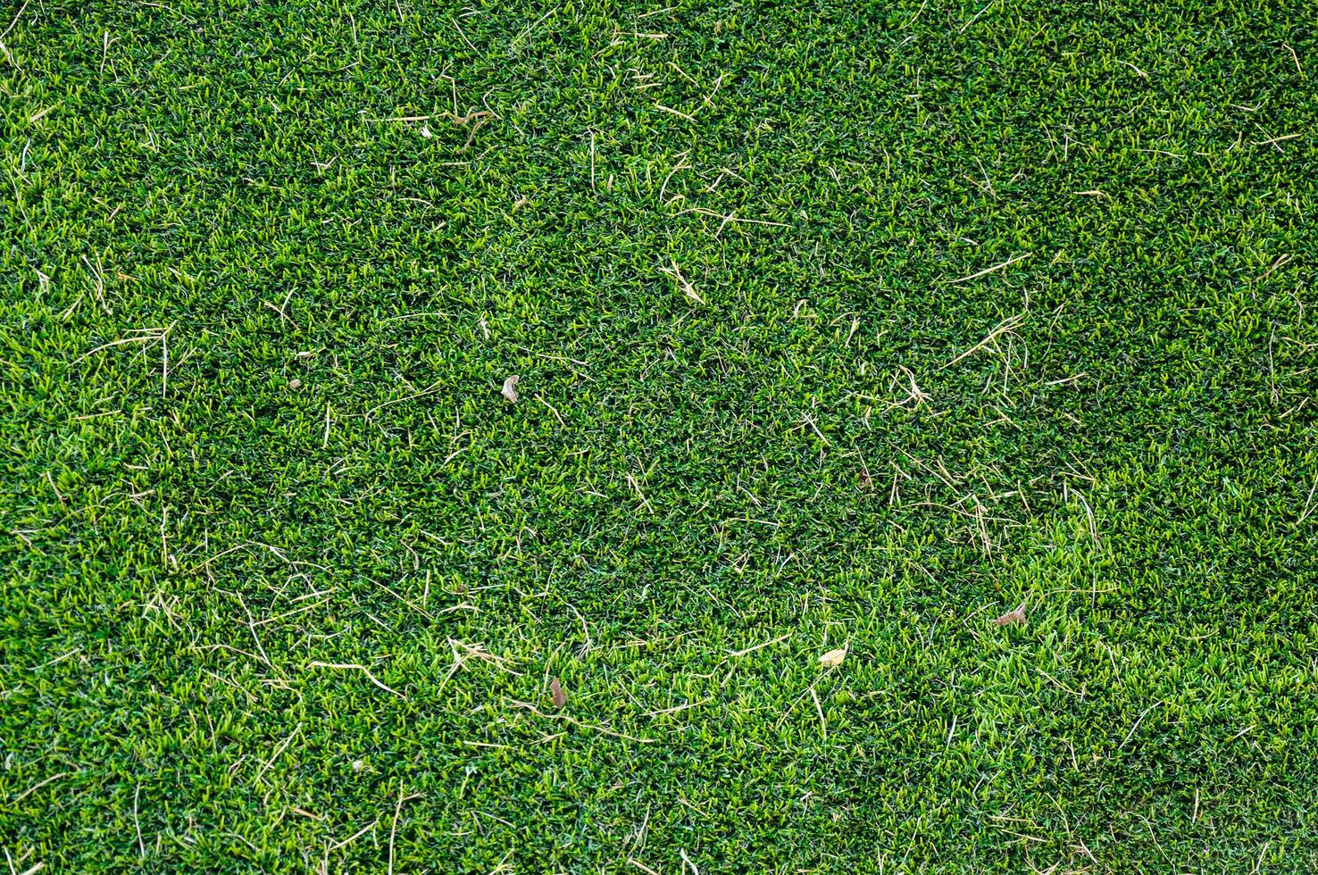 artificial  green grass and dry grass for background photo