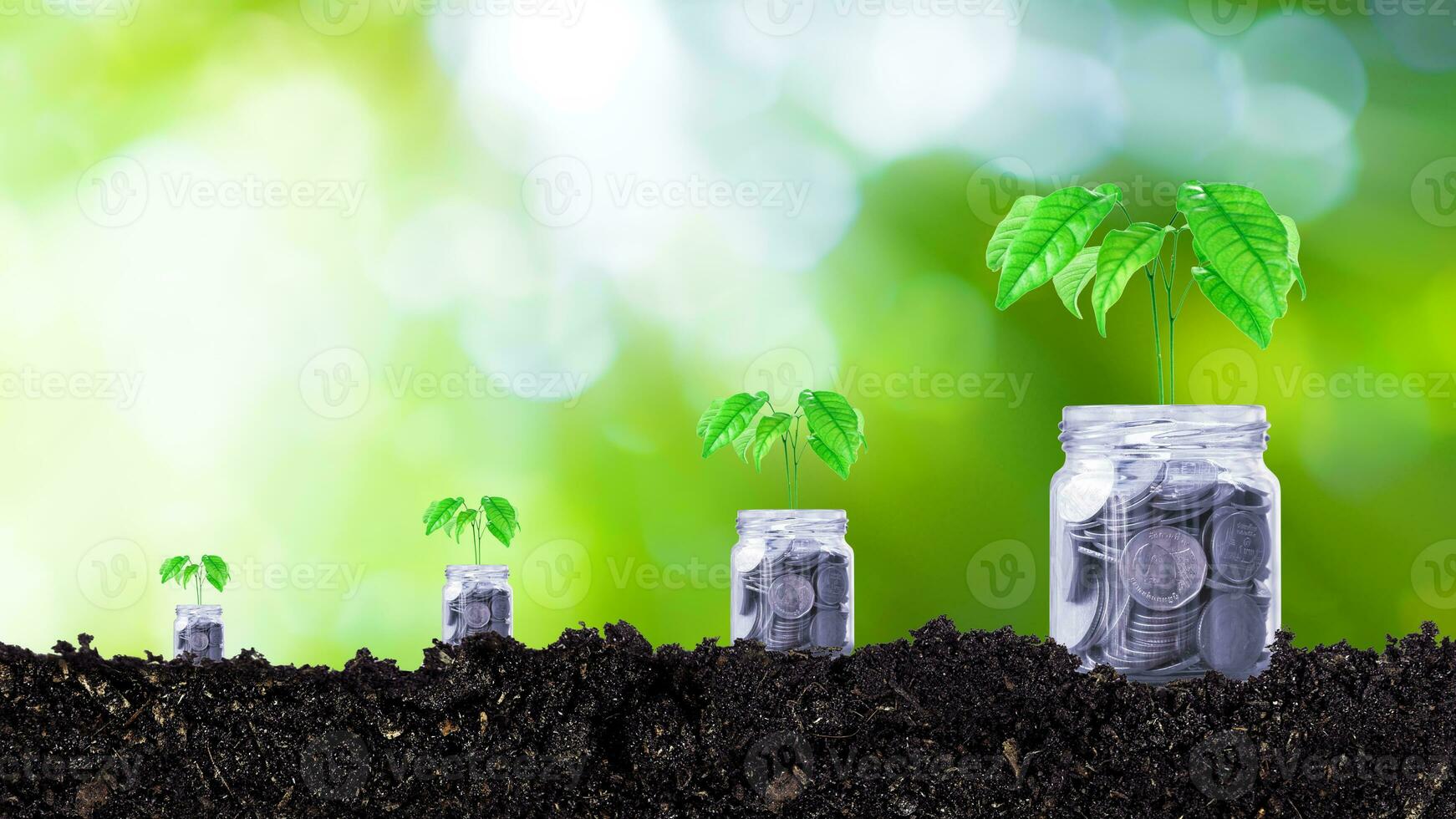 Coins in glass jar with plant on top putting on soil with sunlight bokeh green background. Financial investment ideas for future growth profits, trees growing on coins photo