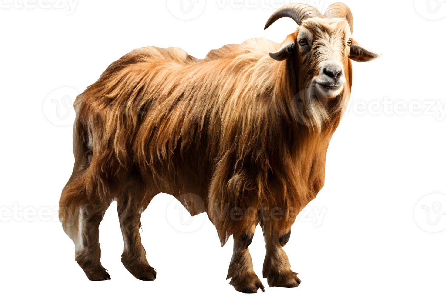 goat on transparent background,mountain goat png ,generative ai