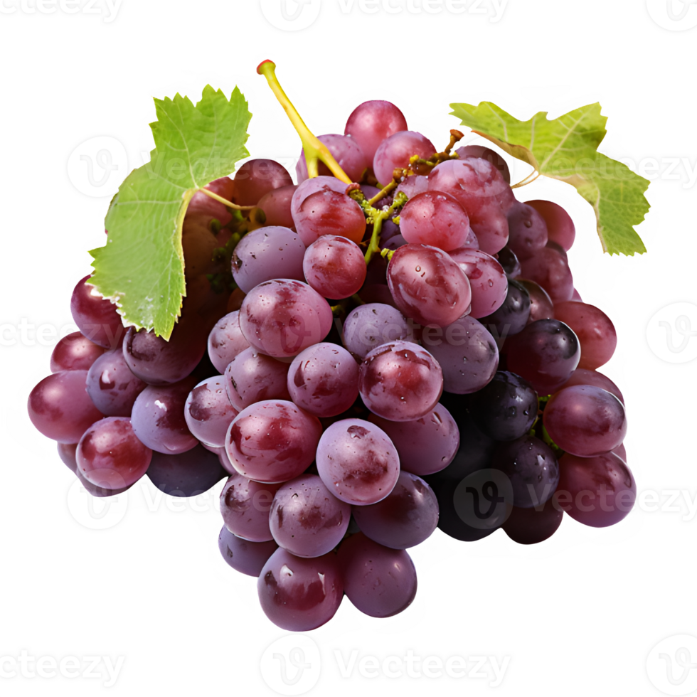 grapes isolated on transparent background ,grape clip art , png