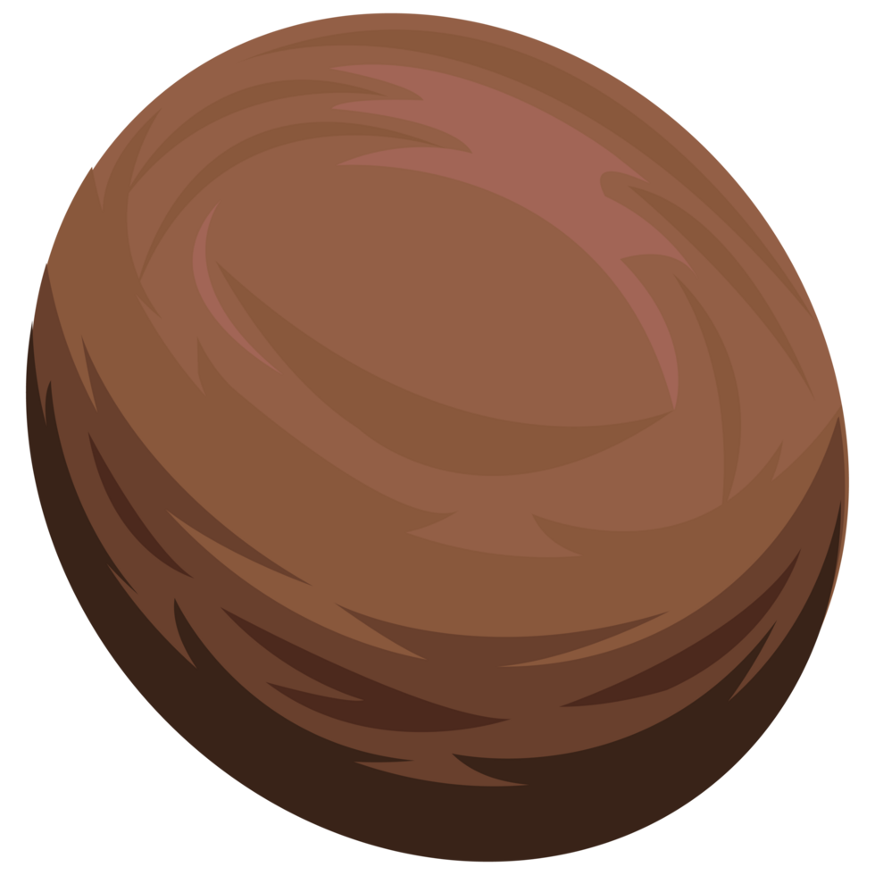 isolate summer coconut elements png