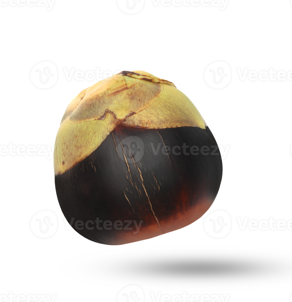 Asian Palmyra palm, Sugar palm, fruit isolated on white background png