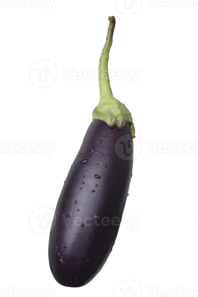 Eggplants isolated on transparent background. png