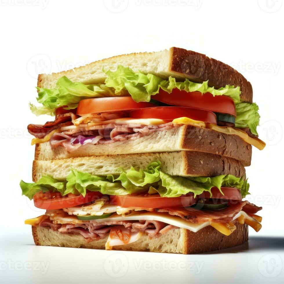 Tasty sandwitch isolated photo