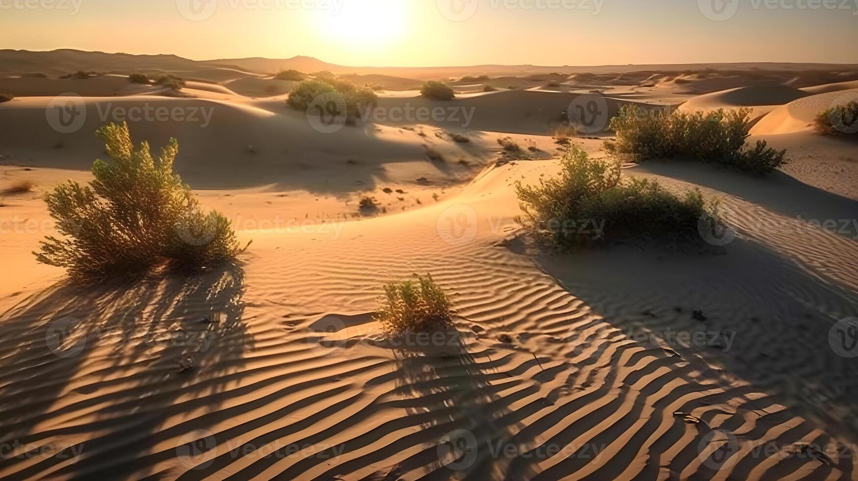 Landscape of a hot desert with sandy wave in the evening. Green desert plant. photo