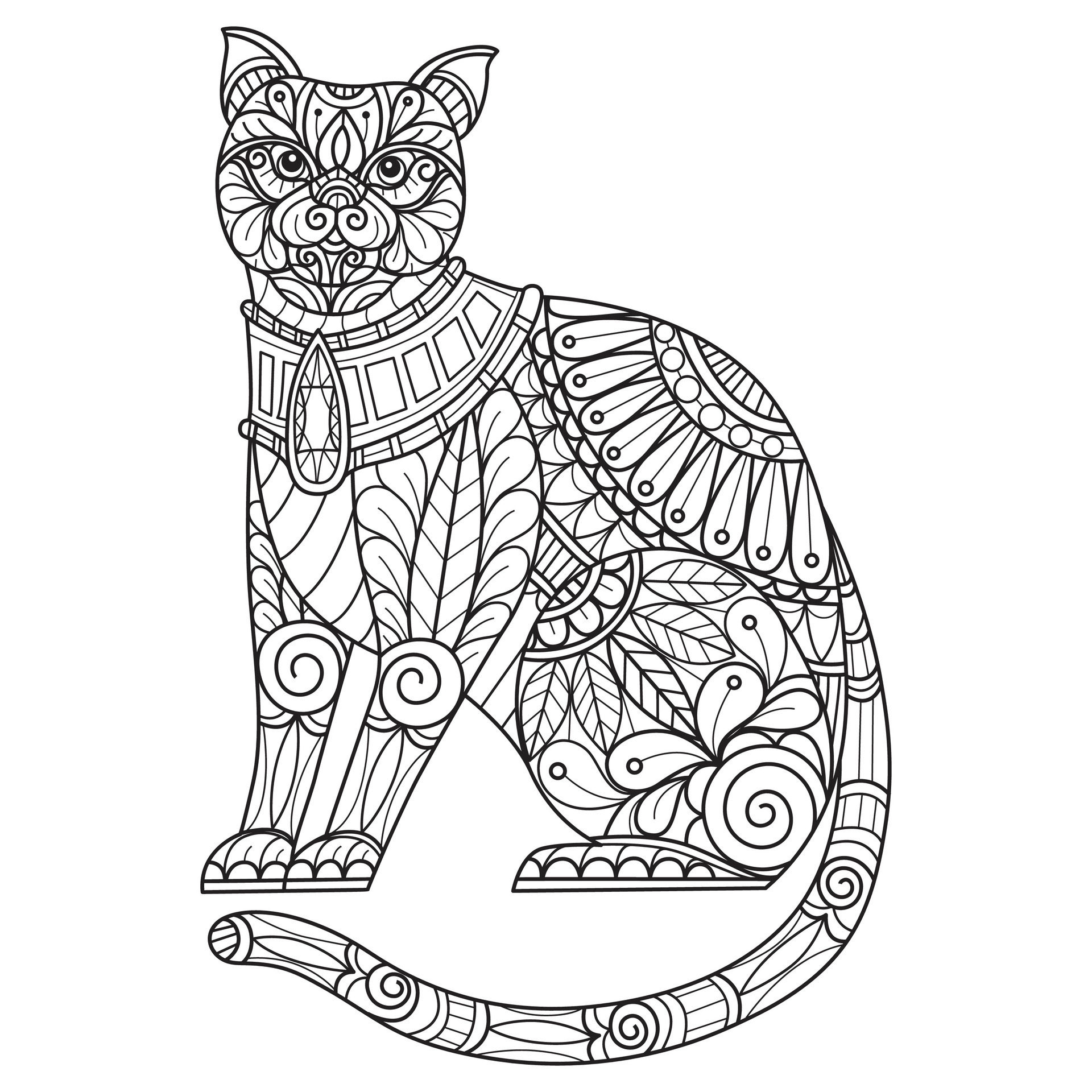 Cat and jewelry hand drawn for adult coloring book 27121712 Vector Art at  Vecteezy