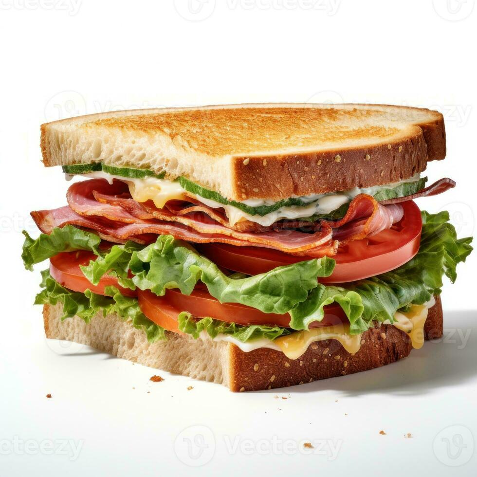 sabroso sandwitch aislado foto