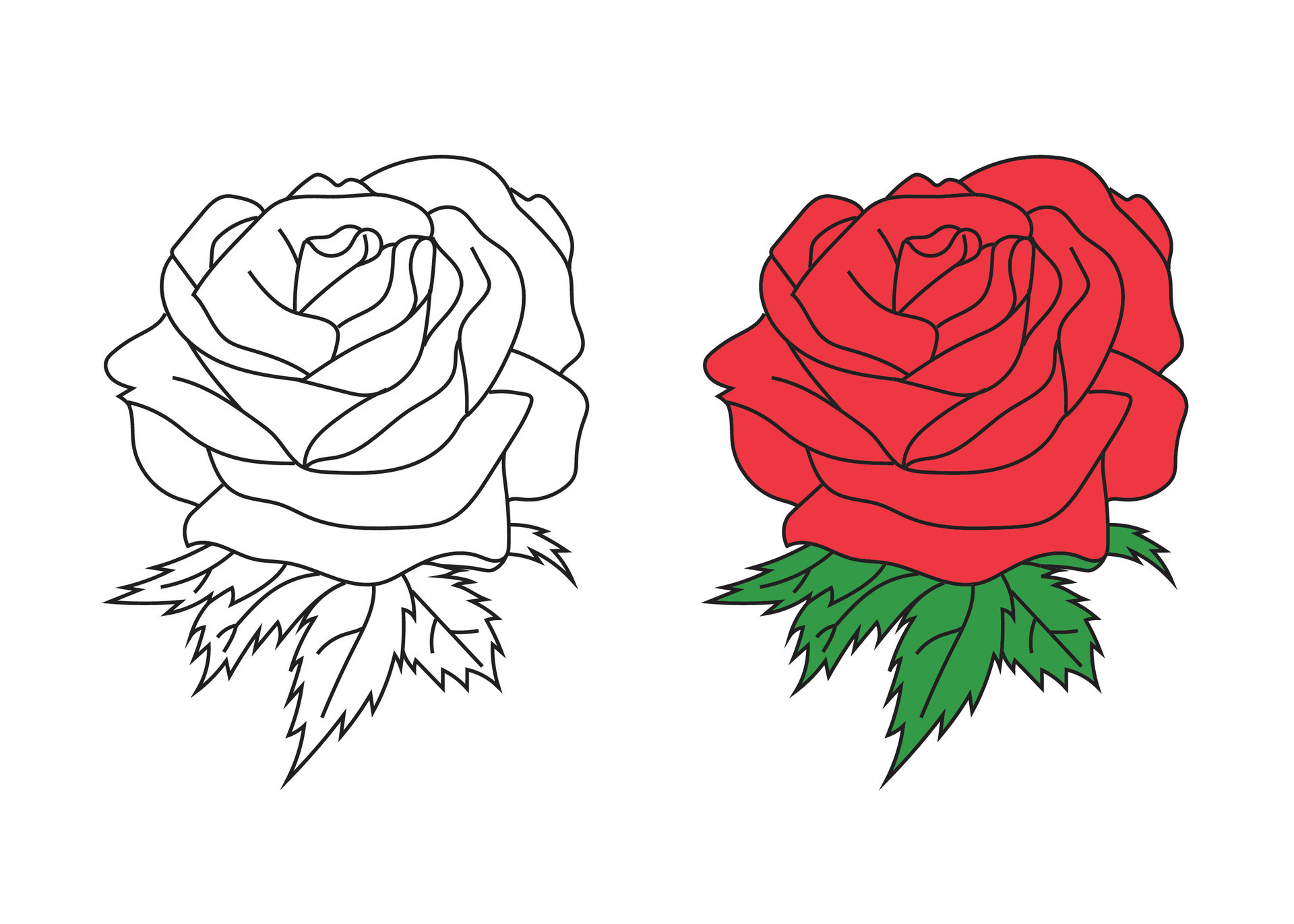 Isolated Rose Flower 2d Vector Art Illustration With Line Art Minimal Isolated Rose Flower 2d Vector Art Illustration With Line Art Minimal