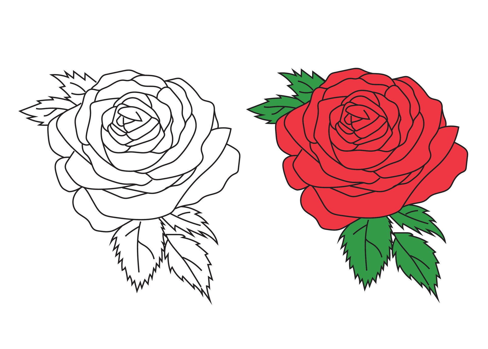 Isolated Rose Flower 2d Vector Art Illustration With Line Art Minimal Isolated Rose Flower 2d Art Illustration With Line Art Minimal Style Vector
