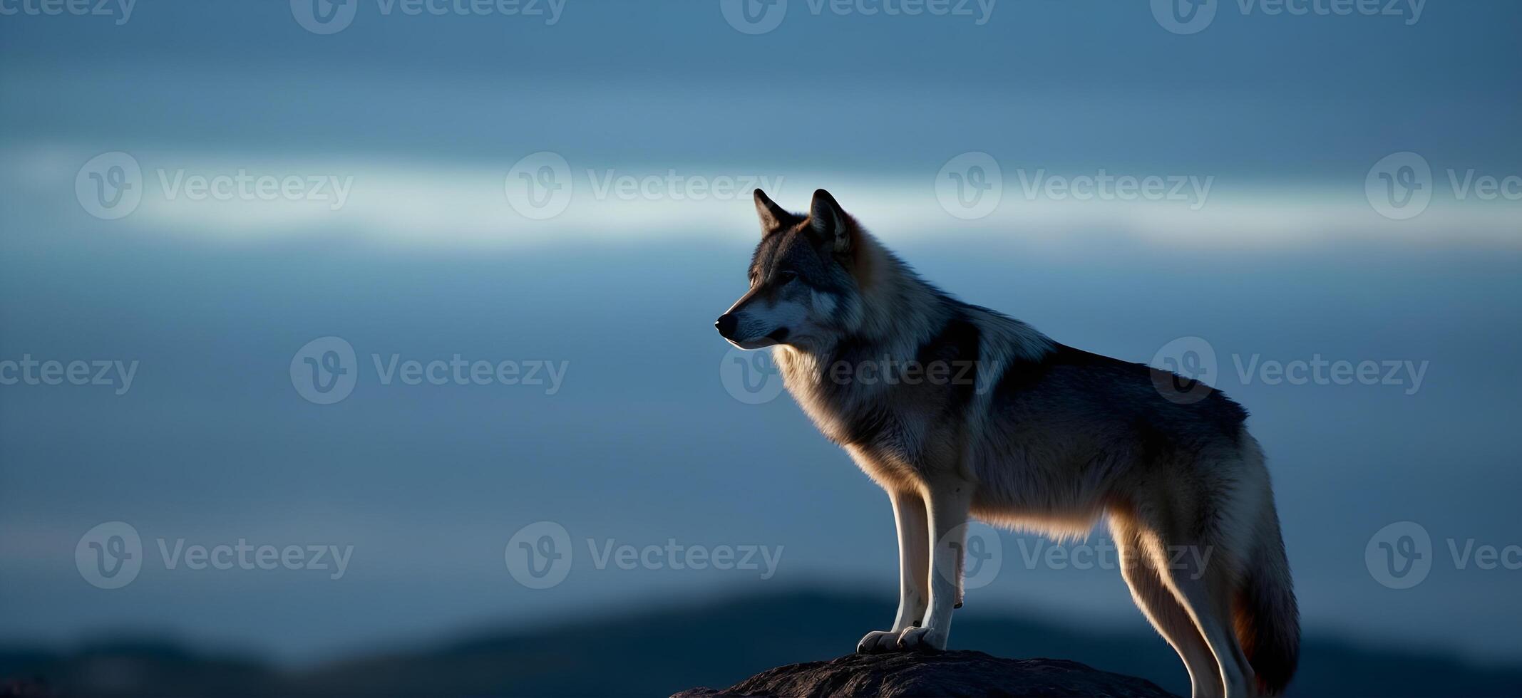 checoslovaco perro lobo en pie a el parte superior rocoso colina o acantilado, en pie y Mira adelante mirar fijamente alguna cosa a lejos lejos, naturaleza azul cielo antecedentes. ai generado foto