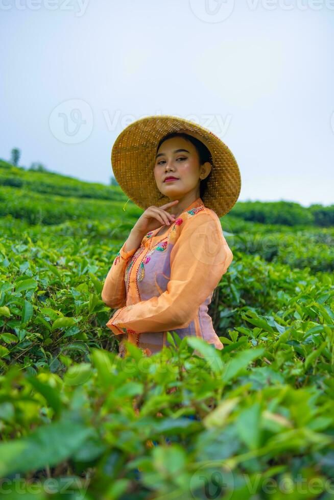 a Javanese woman is looking after her tea garden when she wears an orange dress photo
