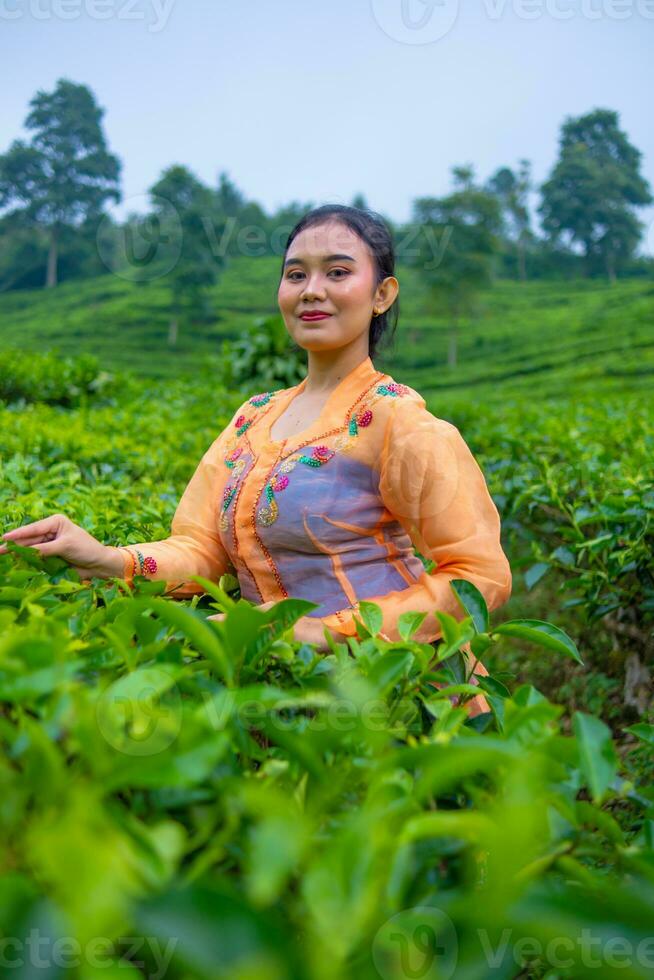 an Asian woman in an orange dress and blue skirt standing among the green tea leaves photo