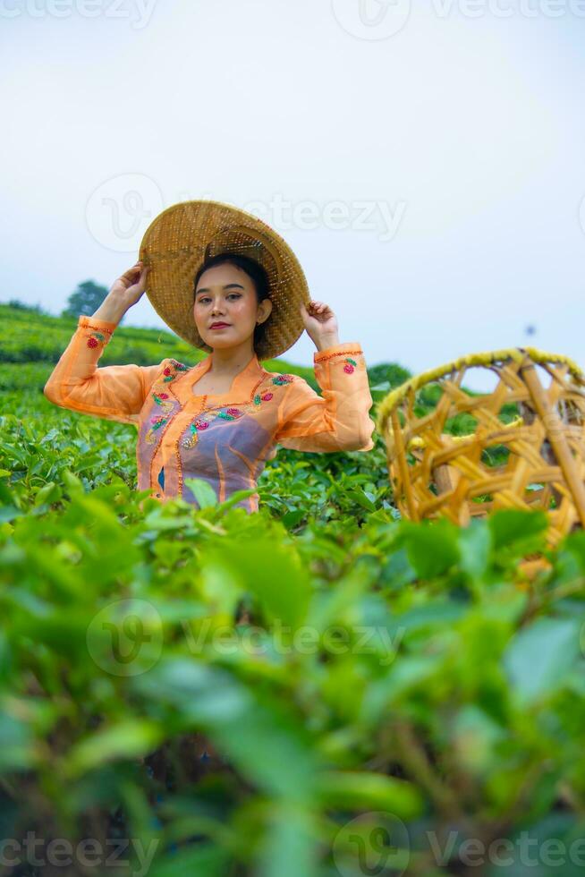 a tea picker posing among the tea gardens with a basket and a bamboo hat early photo