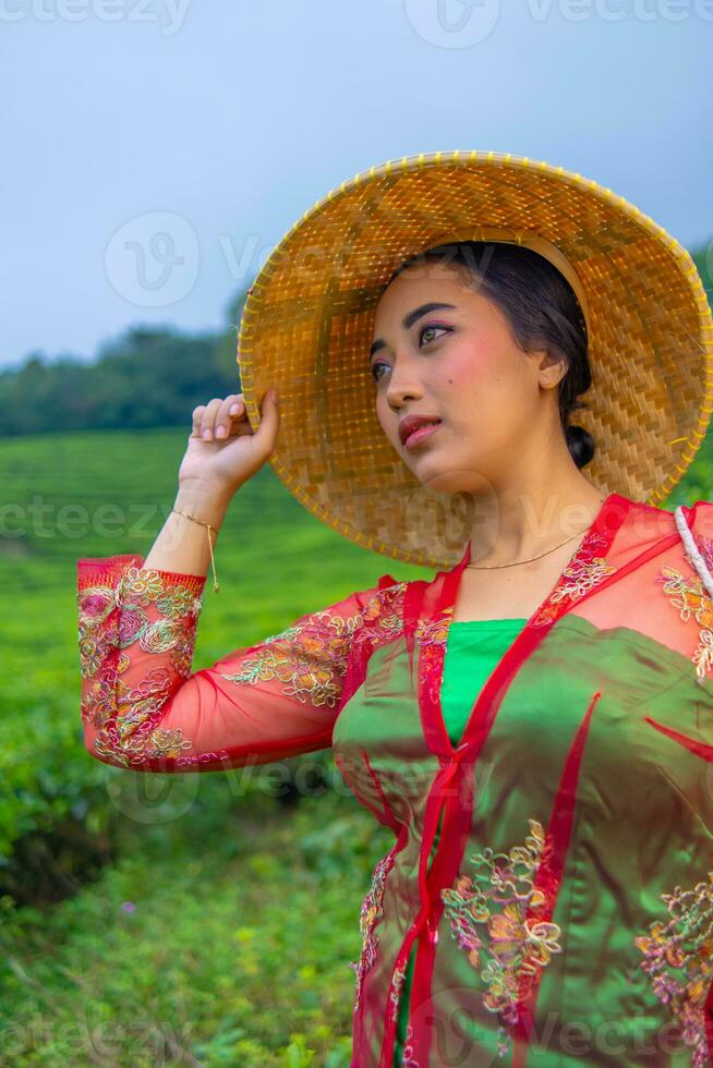 un té hoja granjero participación un bambú sombrero mientras trabajando en el té jardín foto