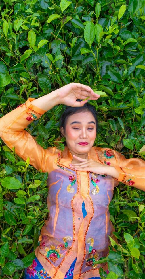 an Indonesian woman is lying on a green tea garden while on vacation photo