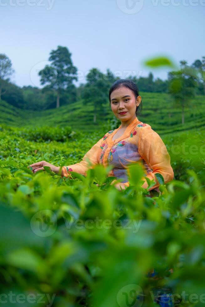 an Asian woman in an orange dress and blue skirt standing among the green tea leaves photo