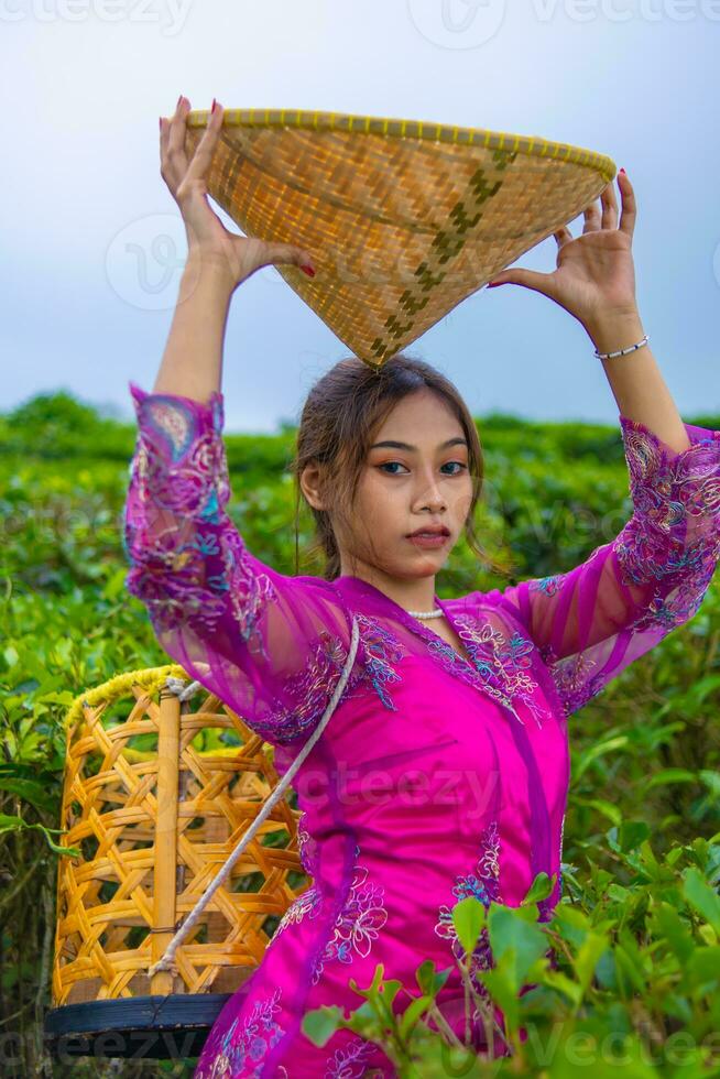 un té jardín granjero posando entre el té hojas mientras participación un sombrero y bambú cesta foto