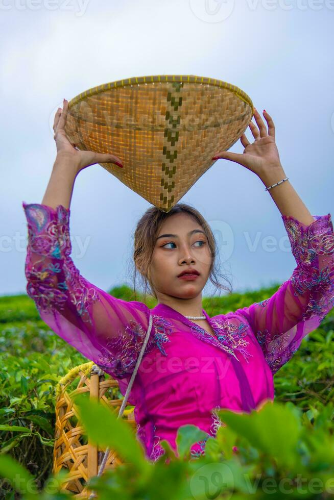 un té jardín granjero posando entre el té hojas mientras participación un sombrero y bambú cesta foto