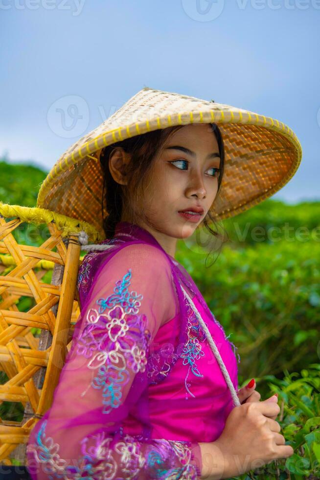 un asiático granjero en un rosado vestir participación un bambú cesta mientras trabajando en un té plantación foto