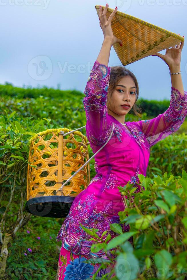 un té jardín granjero posando entre el té hojas mientras participación un sombrero y bambú cesta foto