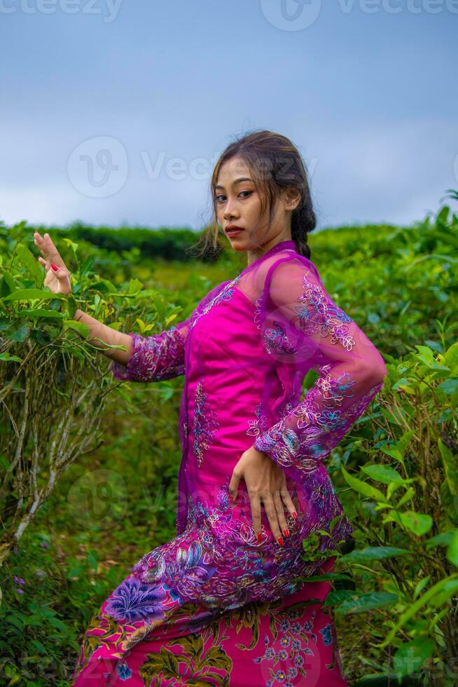 an Asian woman posing very sexy among the tea plantations while wearing a pink dress photo