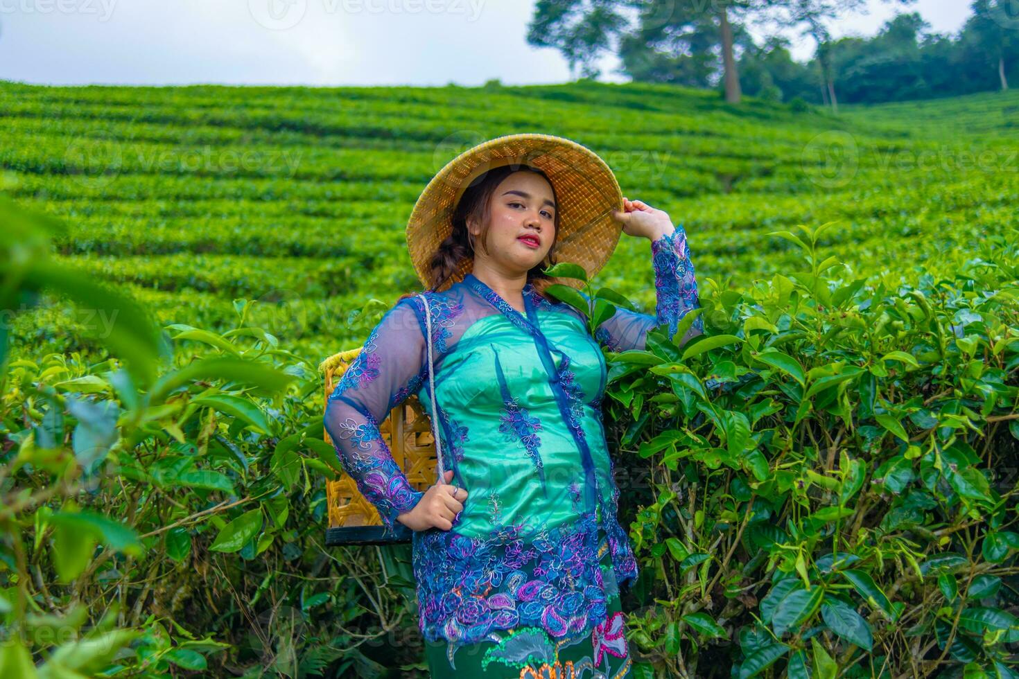 an Asian farmer wearing a hat made of bamboo while in the middle of a tea plantation photo