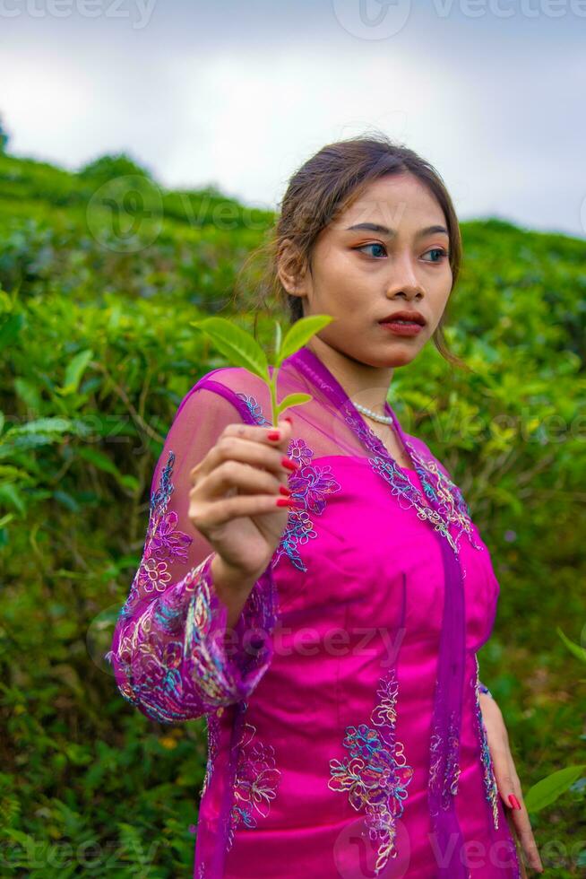un asiático mujer en un rosado vestir es en pie en frente de un té jardín foto