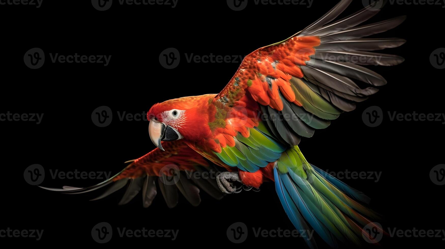 cerca arriba retrato Disparo rojo escarlata guacamayo pájaro aislado en negro. ai generado foto