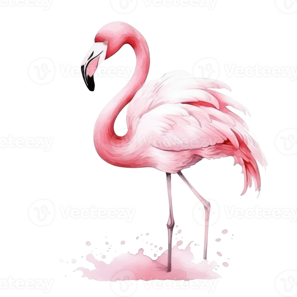 Watercolor Pink Flamingo Isolated 27124204 Png