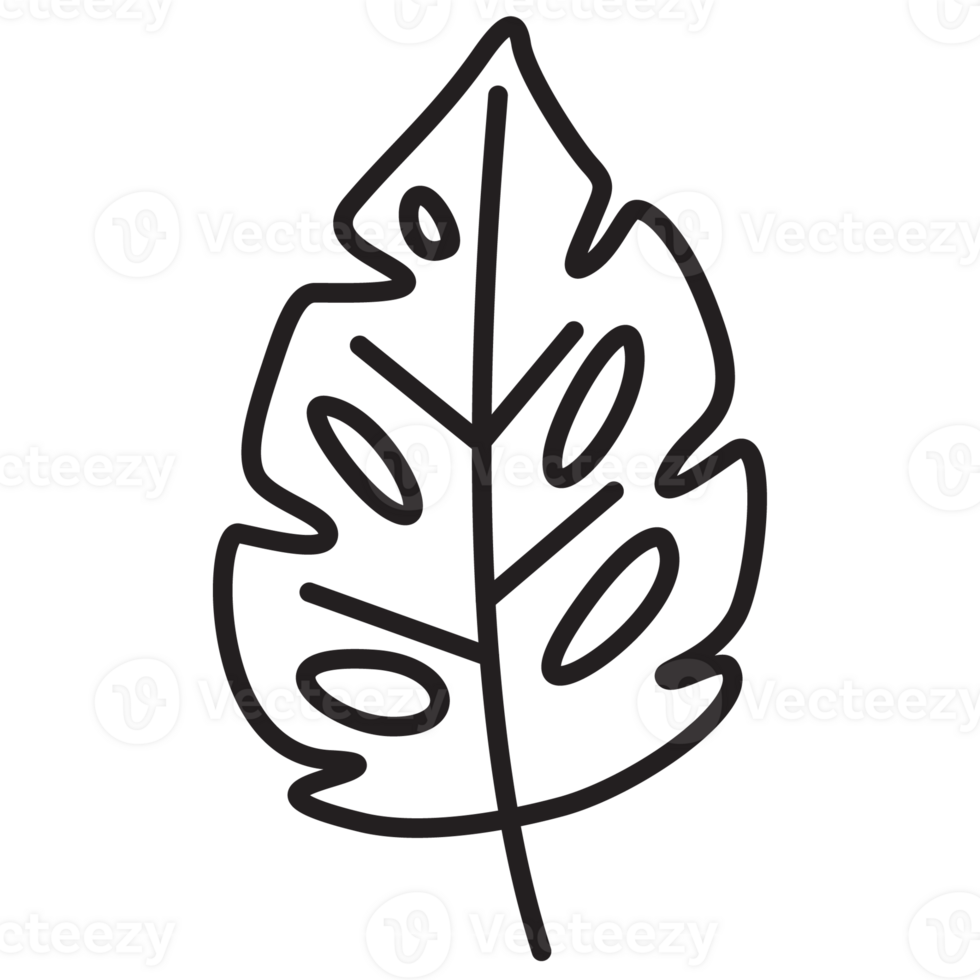 Leaf Monstera Autumn Flora Outline 2D Illustration png