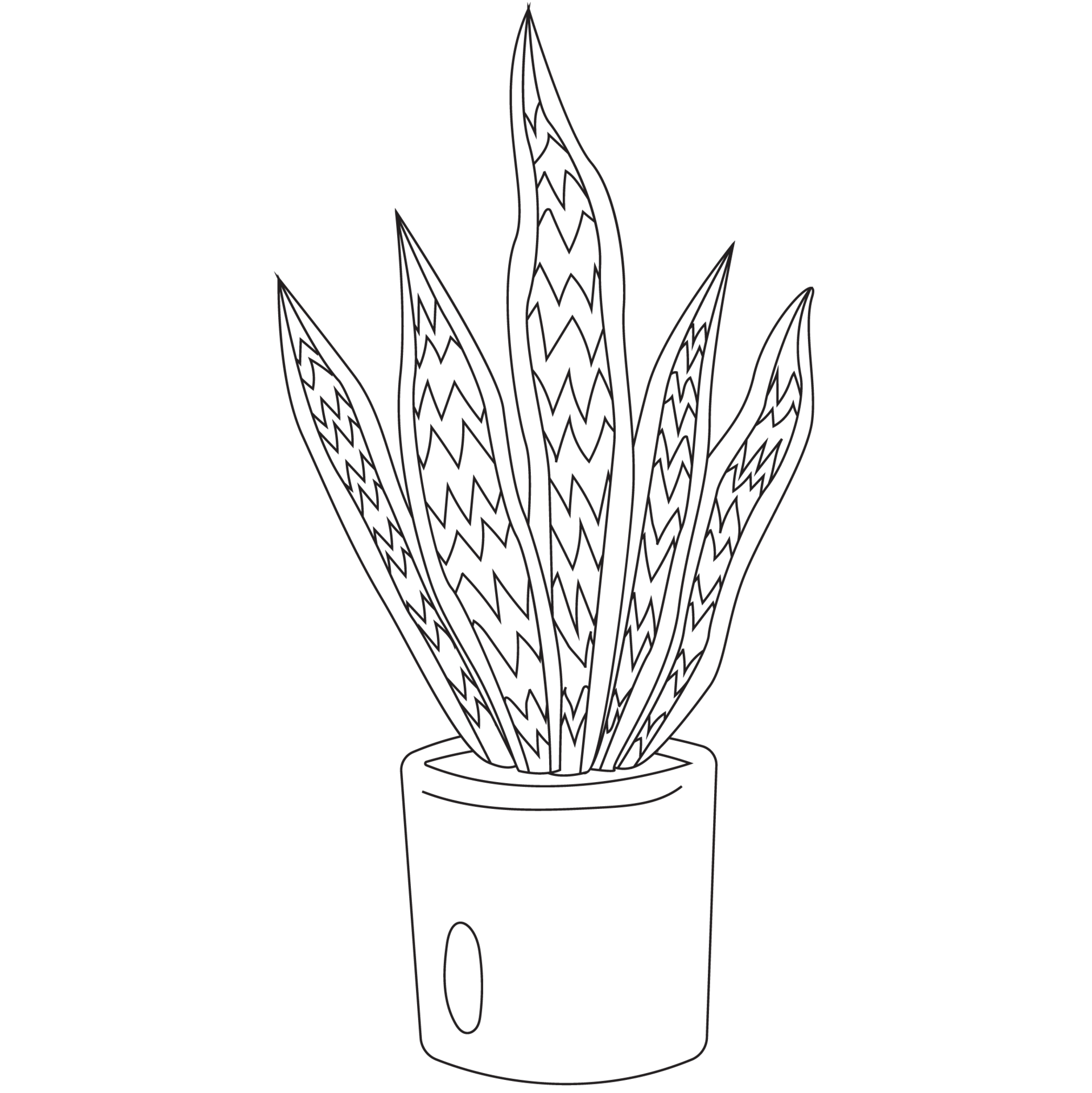 Snake Plants 1 Plant Outline 2D Illustrations 27125552 PNG snake-plants-1-plant-outline-2d-illustrations-27125552-png
