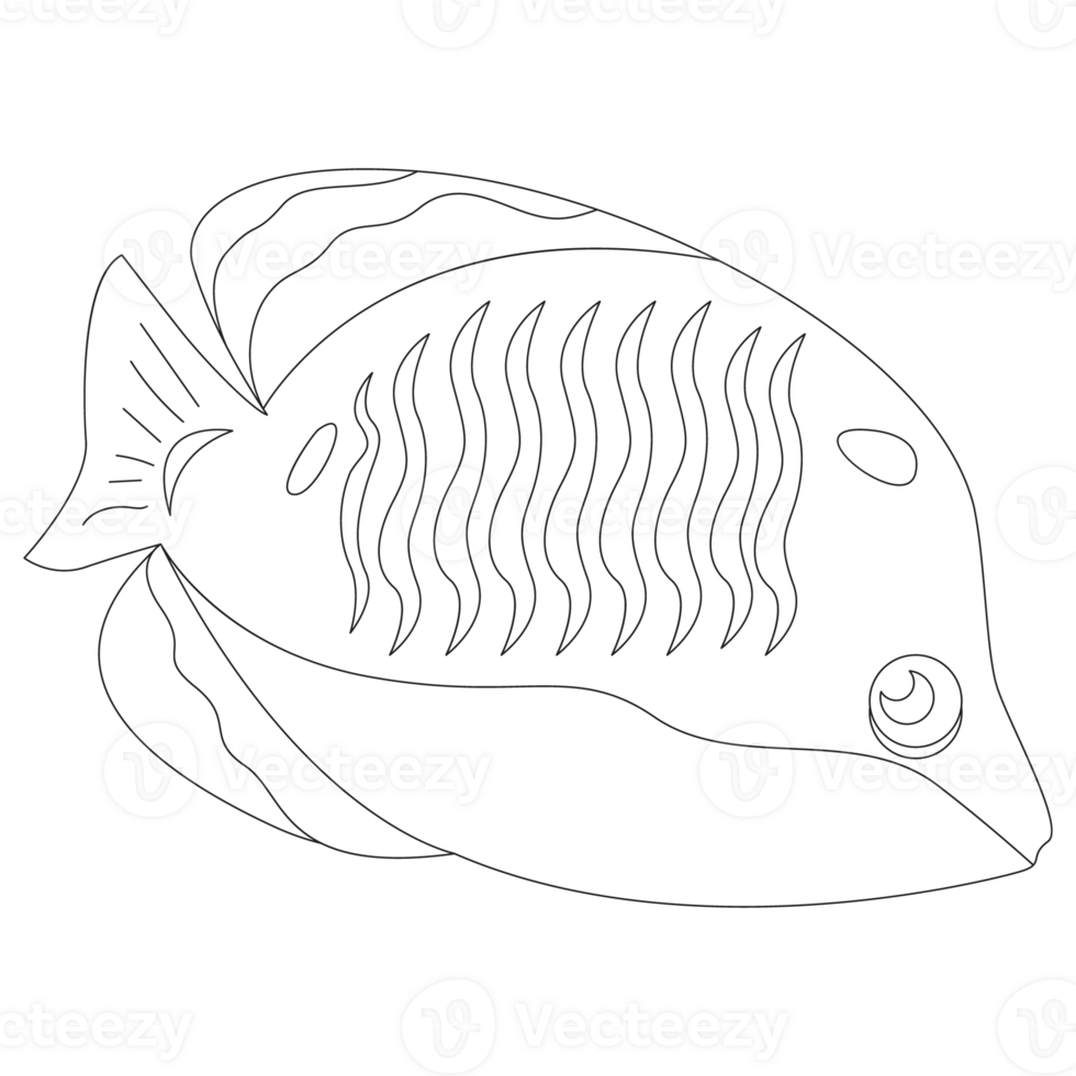 Bluecheek Fish 2D Outline Illustrations png