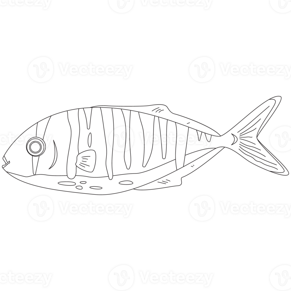 Blackyellow Fish 2D Outline Illustrations png