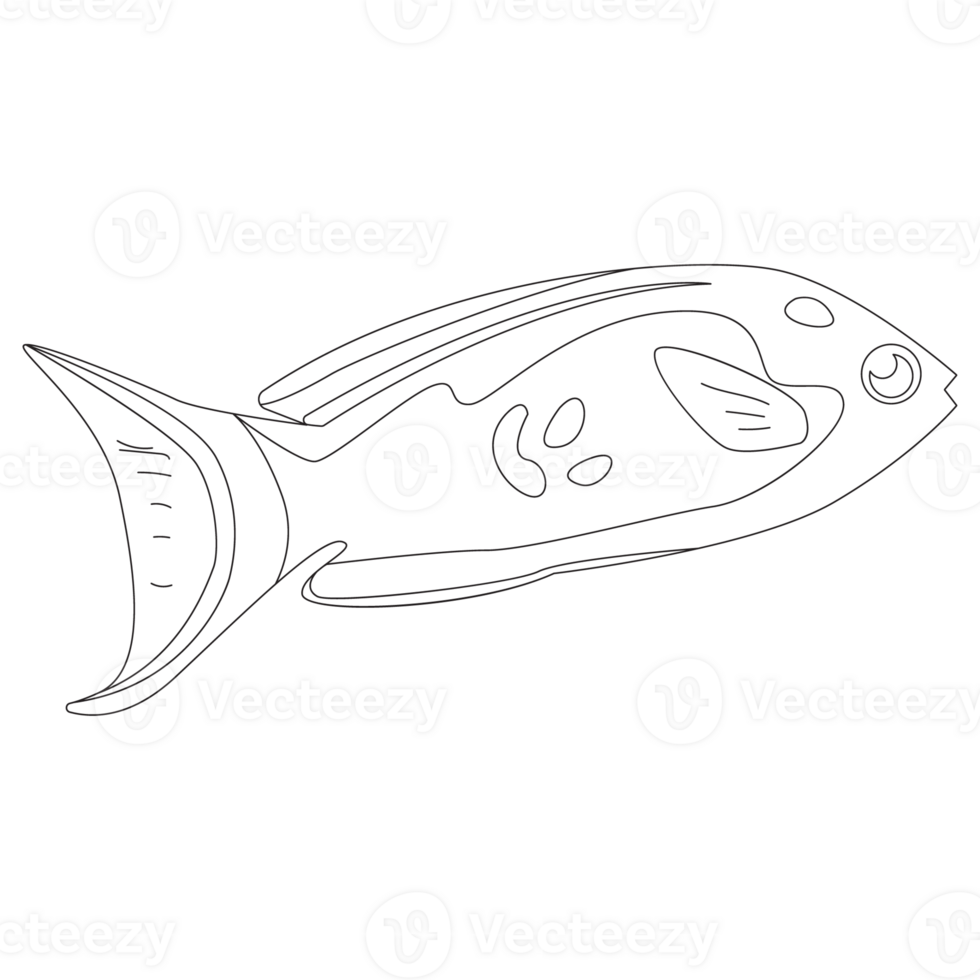 Belgianyellow Fish 2D Outline Illustrations png