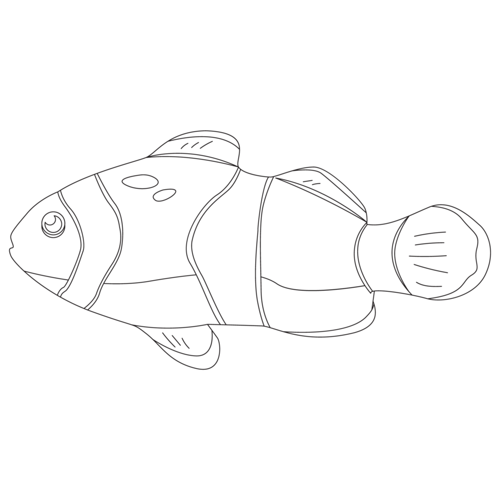 Clownfish 2D Outline Illustrations 27125662 PNG Clownfish 2d Outline Illustrations Free Png