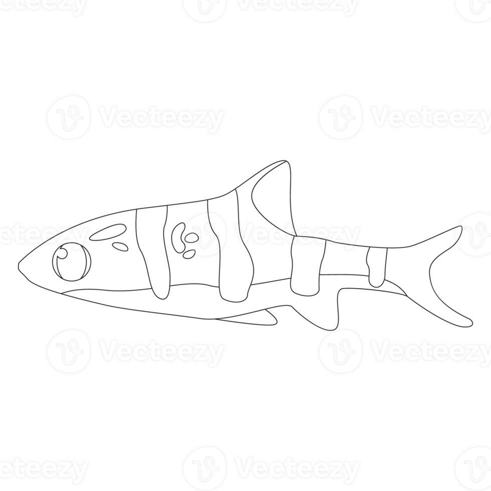 Tigerfish Fish 2D Outline Illustrations png