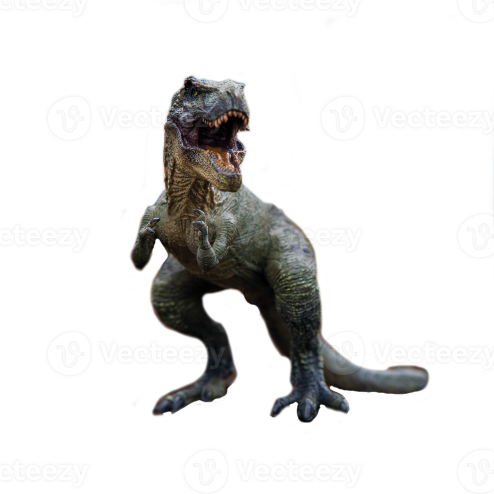 un estremo avvicinamento Visualizza di un infausto t-rex dinosauro figurina isolato contro un' pulito bianca sfondo. mostruoso animale con acuto denti. png