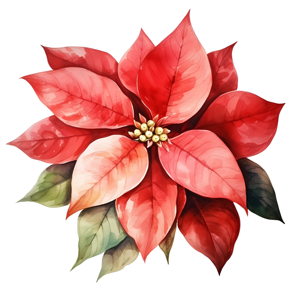 Christmas bouquet with poinsettia, holly and berries. Watercolor illustration AI Generative png