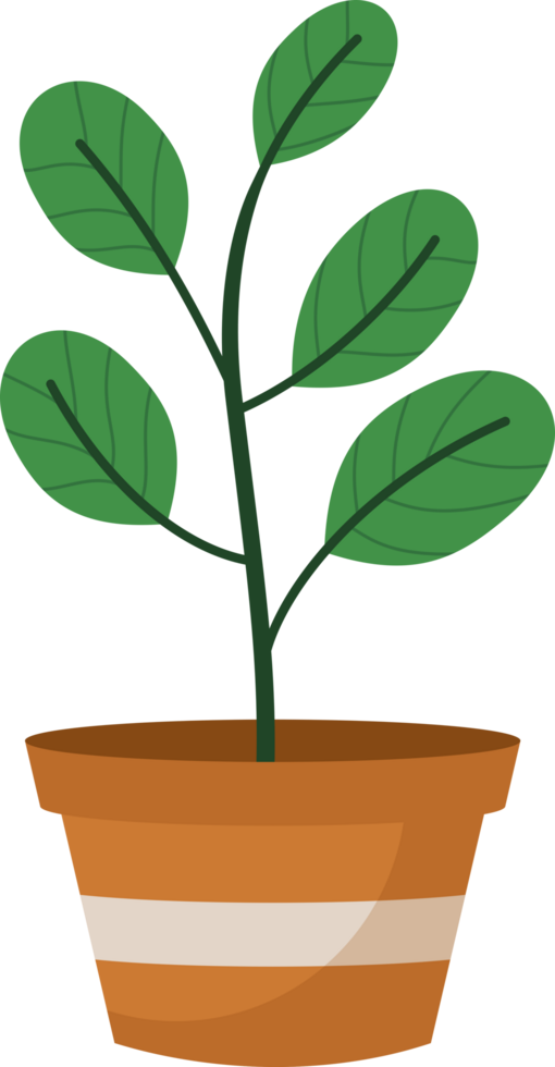 Houseplant in a pot png