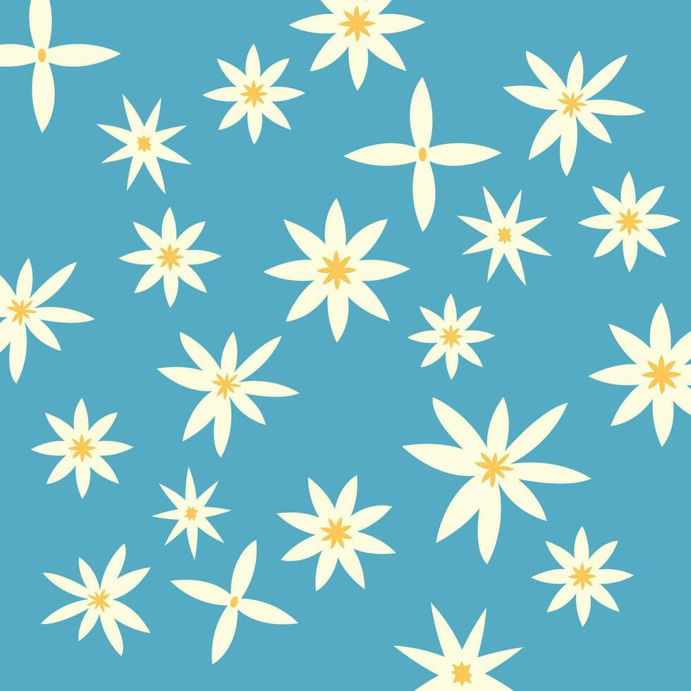 beautiful daisy flower pattern blue background vector
