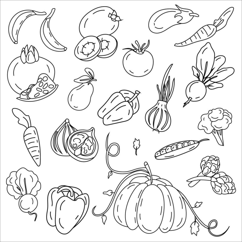 Seasonal vegetables and fruits, doodle drawing food from the garden. Fruit and vegetable set in black and white, black line, isolated. vector