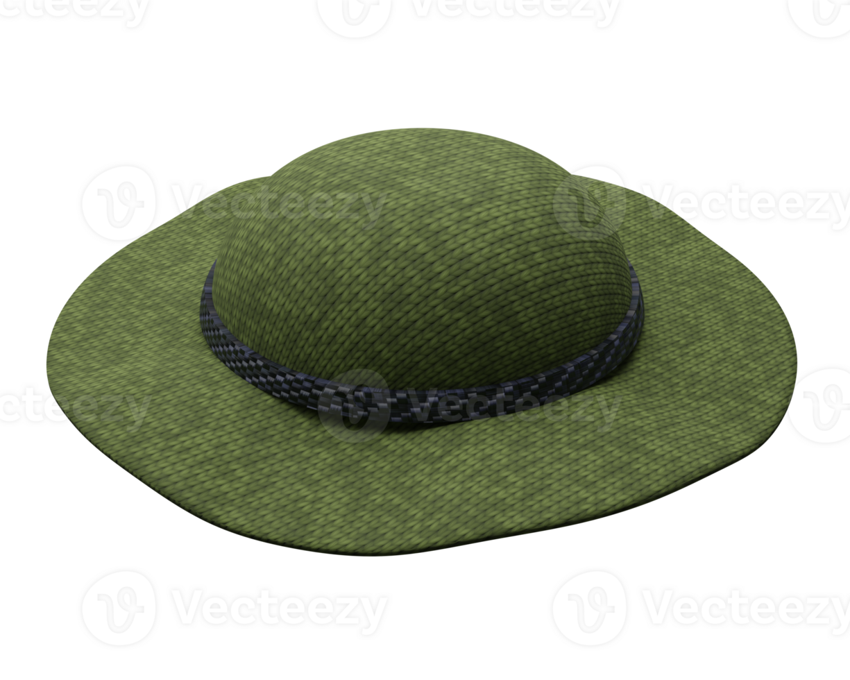 green felt hat png