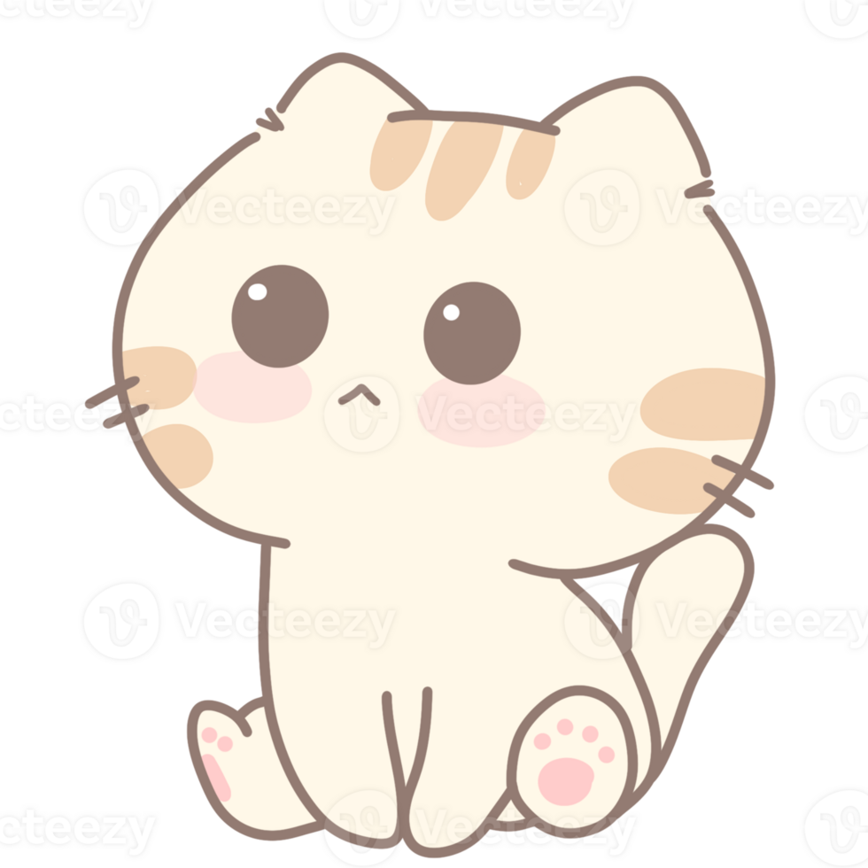 Baby cute cat png