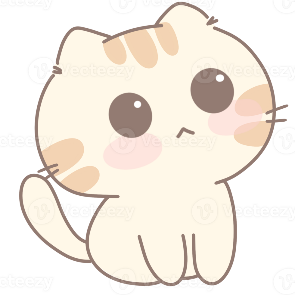 Baby cute cat png