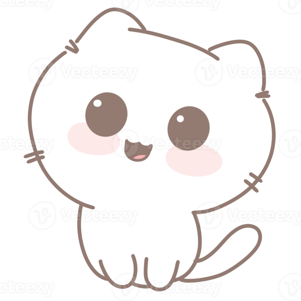 Baby cute cat png