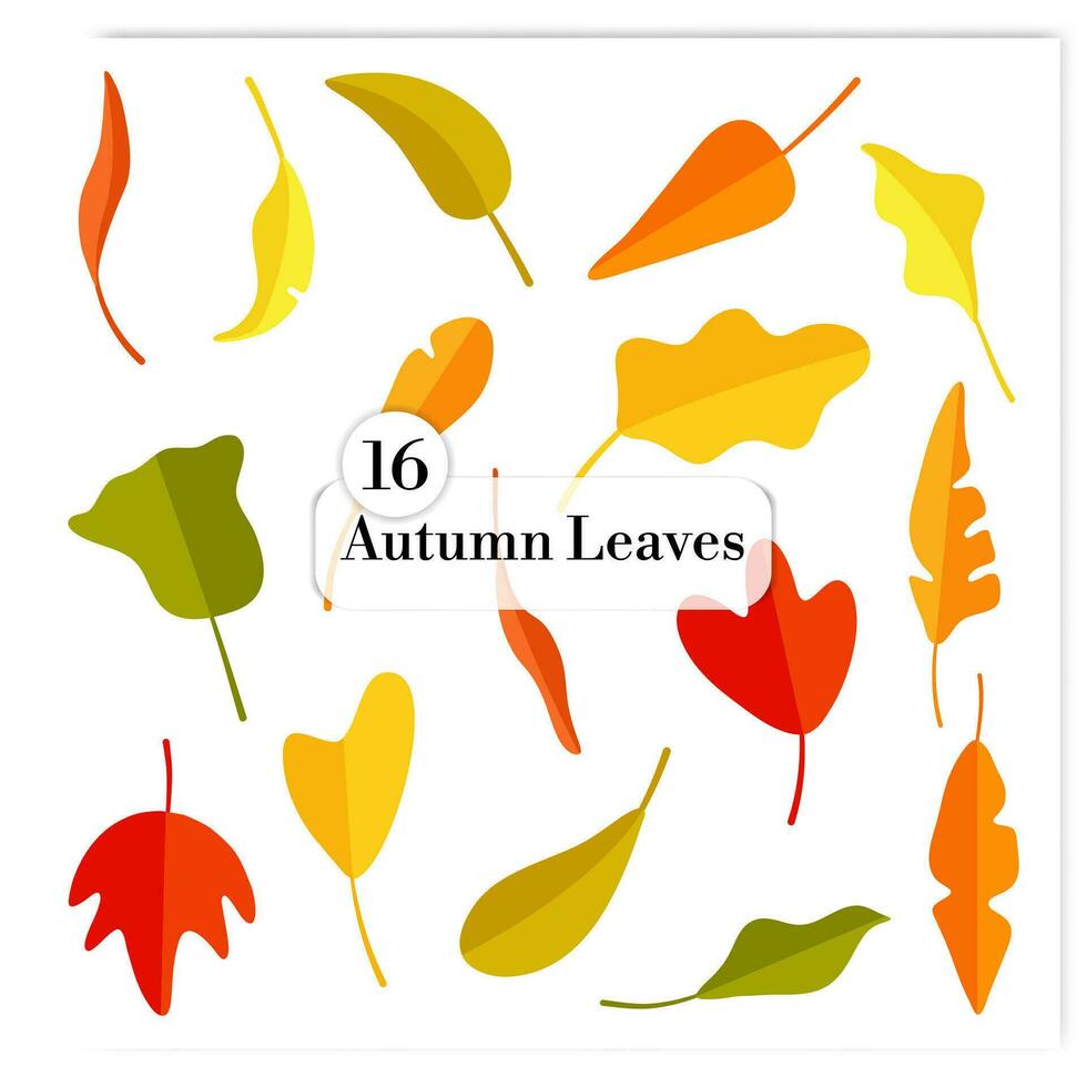 Vector flat design fall leaves collection