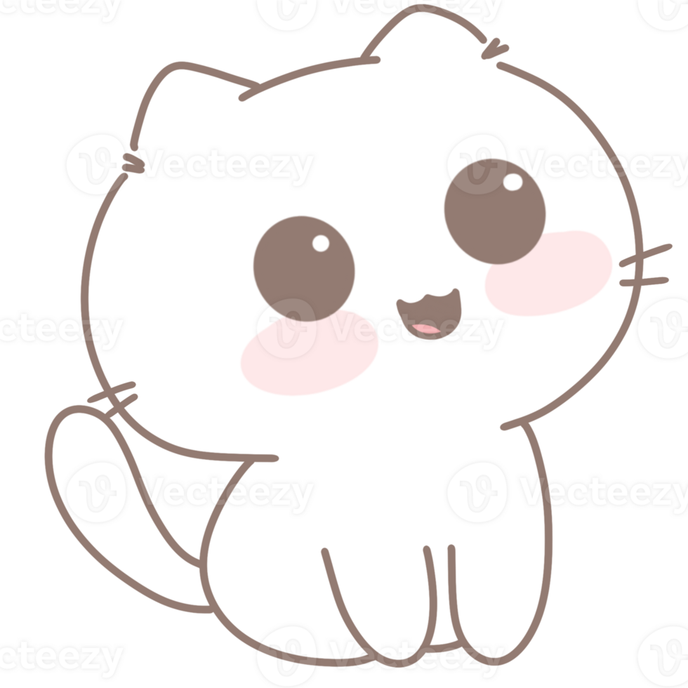 Baby cute cat png